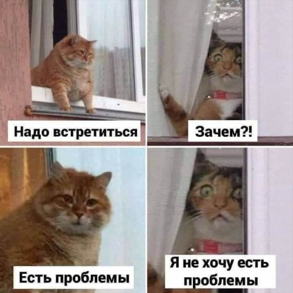 Название изображения